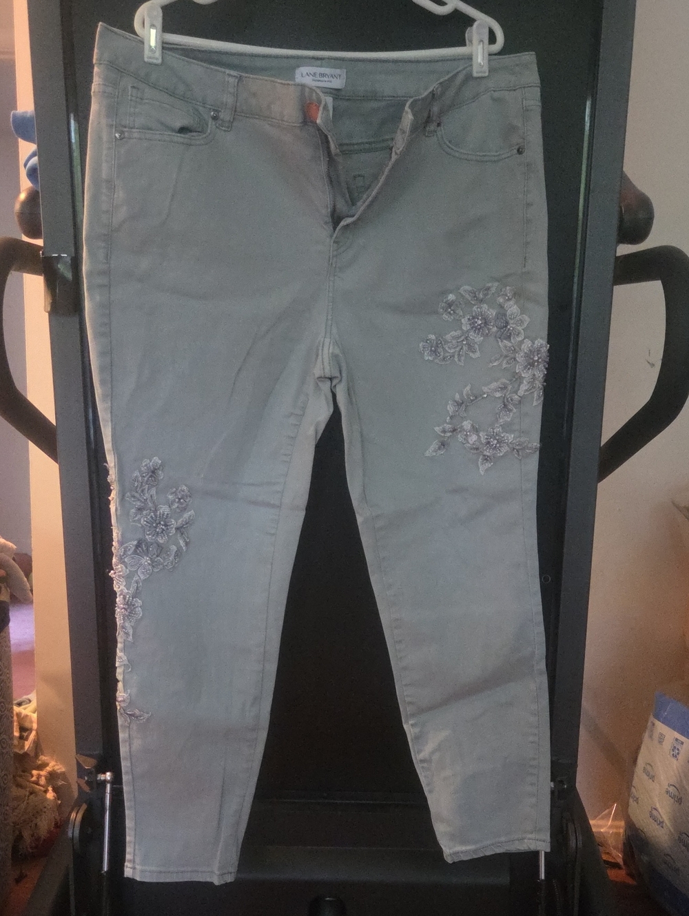 Lane Bryant Light Gray Skinny Jeans with Floral Embroidery